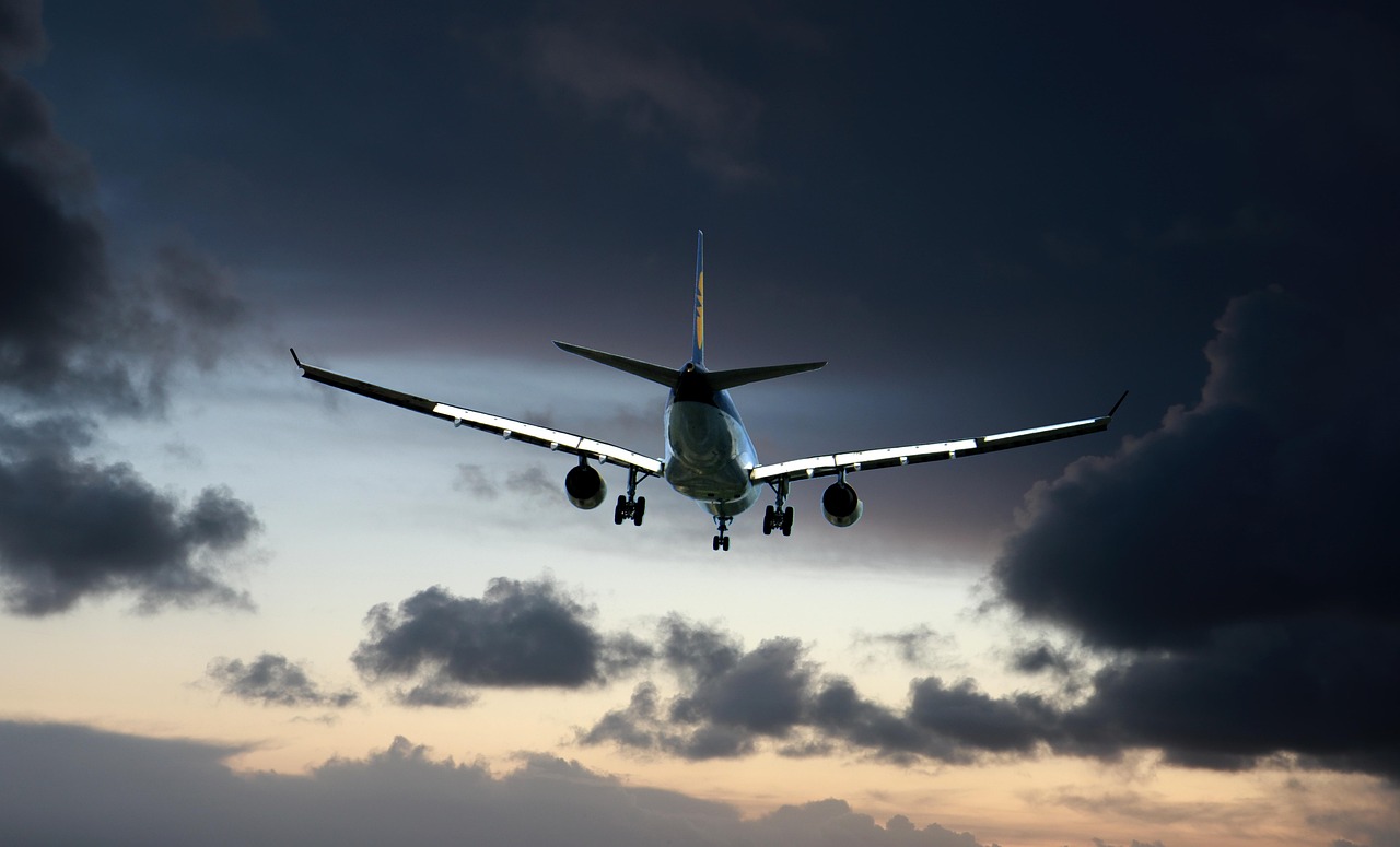 team-06 transport, plane, flight, sky, cloud, weather, sunset, travel, aviation, pilot, air, nature, suitcase, passenger, holiday, people